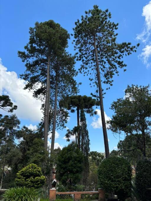 Charme E Conforto Na Montanha - Campos Do Jordao Proximo Ao Centro المظهر الخارجي الصورة