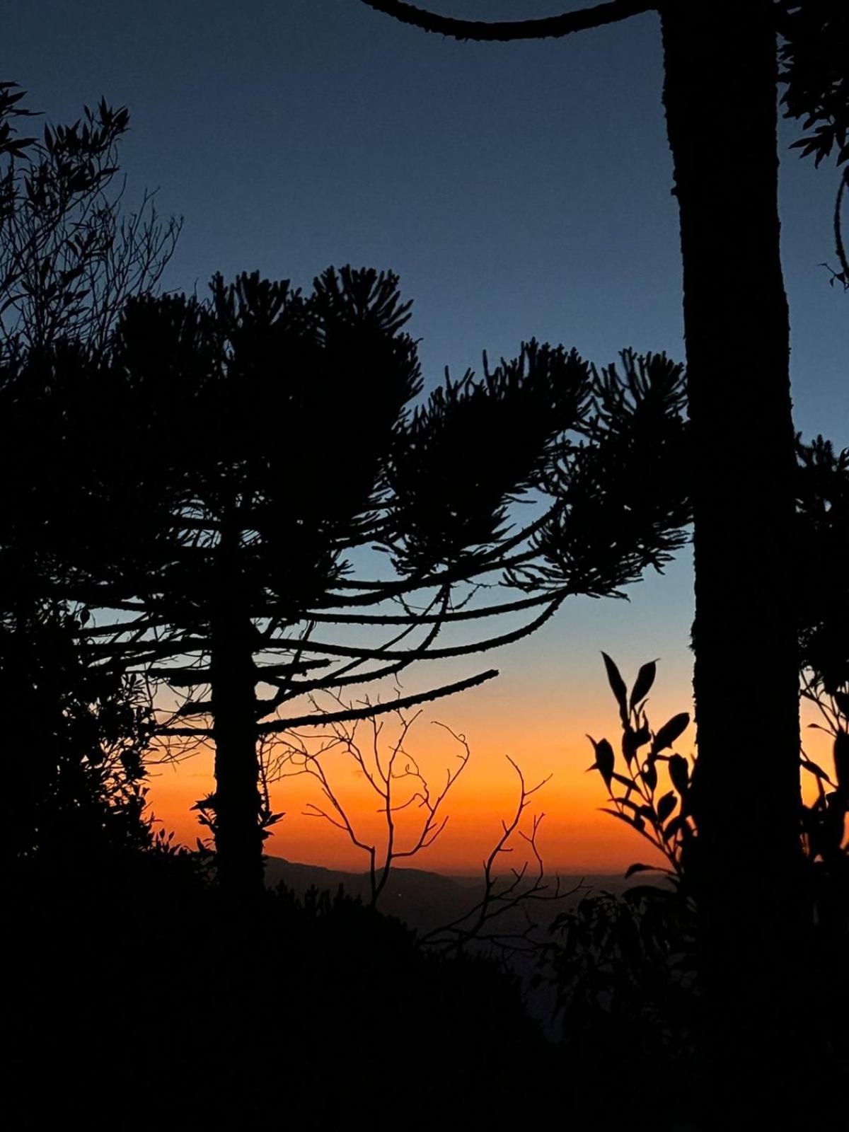 Charme E Conforto Na Montanha - Campos Do Jordao Proximo Ao Centro المظهر الخارجي الصورة